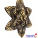 Brown and Golden Ganesha on Flower Wall Hanging