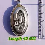 65g Shivnetra Parad Gutika – Genuine Energized Mercury Shivling for Puja and vastu correction by jipanditji