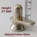 100g Abhimantrit Parad Shivling – Genuine Mercury Shivling for Puja