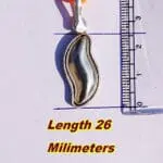 10g Shivnetra Parad Gutika – Genuine Energized Mercury Shivling for Puja and vastu correction by jipanditji