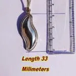 20g Shivnetra Parad Gutika – Genuine Energized Mercury Shivling for Puja and vastu correction by jipanditji