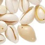 Pran Pratishthit Original Energized  Yellow Lakshmi Kauri Kodi 2cm (21 pcs)