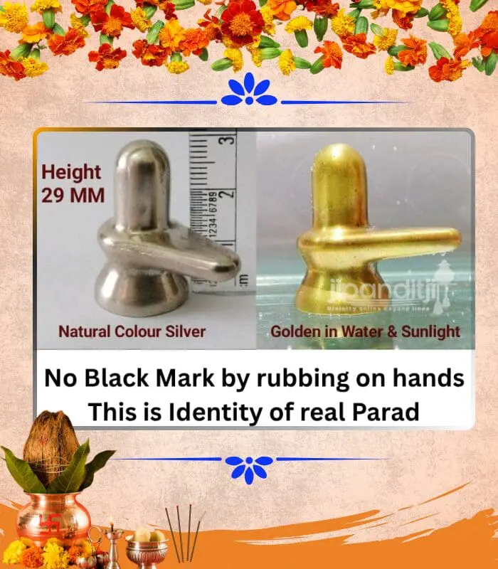 parad shivling 50 g