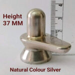 100g Abhimantrit Parad Shivling – Genuine Mercury Shivling for Puja