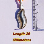 10g Shivnetra Parad Gutika – Genuine Energized Mercury Shivling for Puja and vastu correction by jipanditji