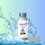 Ganga Jal – Holy Water for Pooja & Ritual Purification 