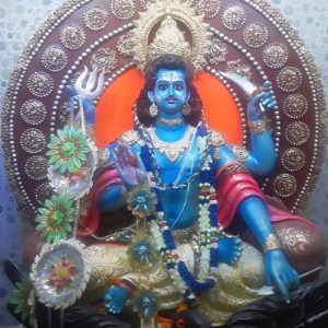 shani jayenti puja