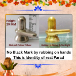 parad shivling 50 g