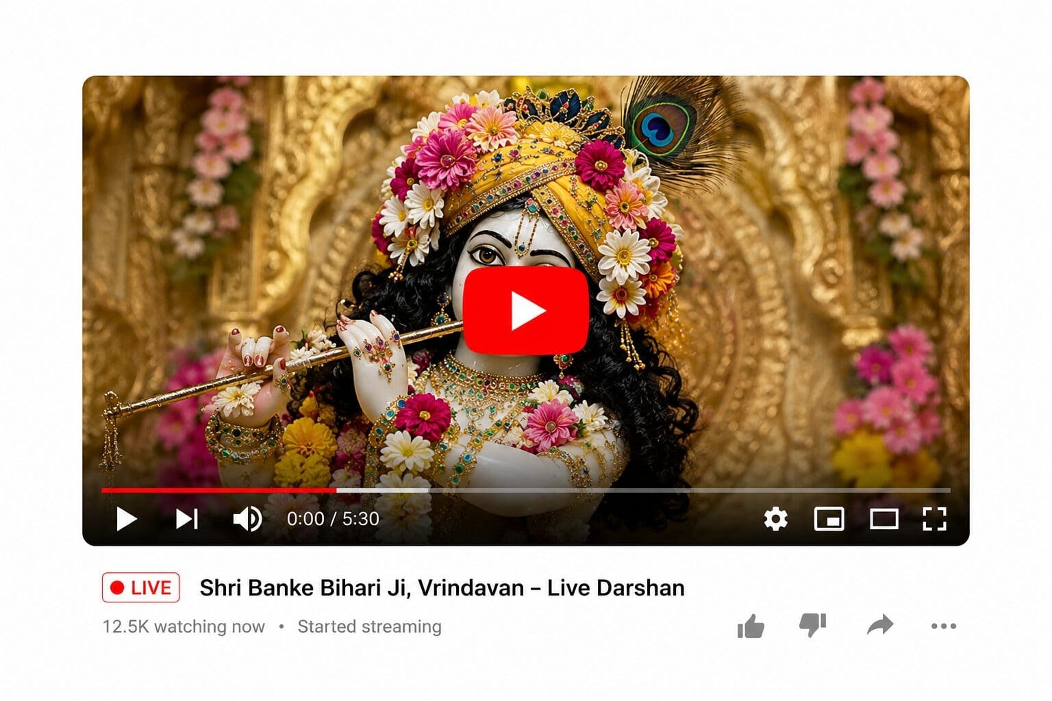 live darshan access shri banke bihari vrindavan